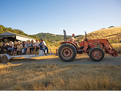 tractor